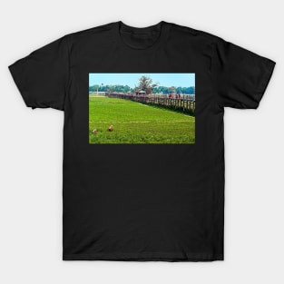 U Being Bridge, Amarapura. T-Shirt